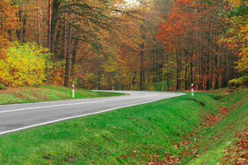 Asfaltowa, łagodnie skręcająca droga. Pobocza porośnięte są zieloną trawą, w głębi znajduje się las. Jest jesień, liście na drzewach mają żółty, czerwony i brązowy kolor. - 543165436