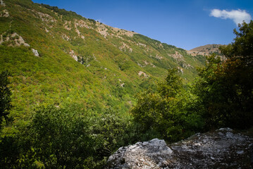 Fototapeta na wymiar Vista lungo il sentiero (Orrido di Cupi di Fiamma) sul Monte Nerone