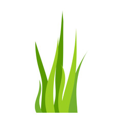 Green new growth grass pattern. Vector illustration of plants. Floral borders isolated on white. Nature environment