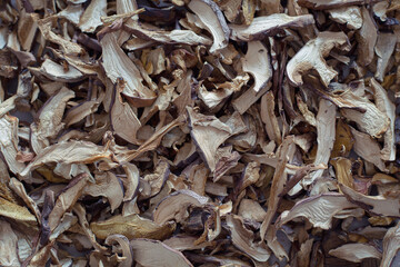 dried forest mushrooms cut into slices