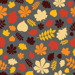 Fototapeta premium Autumn pattern with leaves. Wrapping paper concept. Vector illustration
