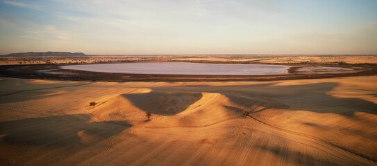 Aerial panoramic view of the wheat field in the farmlands at a soft sunlight