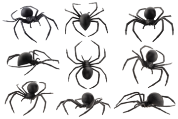 Fake rubber spider toy isolated over a transparent background