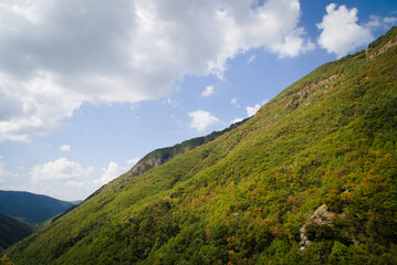 Fototapeta premium Vista lungo il sentiero (Orrido di Cupi di Fiamma) sul Monte Nerone