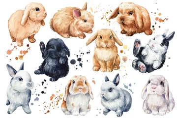 Rolgordijnen Boho dieren Konijntjes ingesteld op geïsoleerde witte achtergrond, bunny aquarel illustratie. Konijn en verfspetters