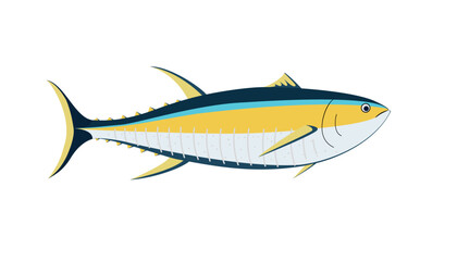 sea fish tuna on a white background