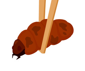 Edible larva. Eating caterpillar with chopsticks. Asian snack and street fast food.