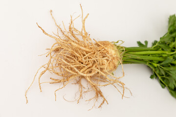 Celery root on a white backround with green leaves
