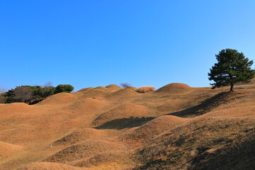 대한민국 대구에 있는 무덤인 대구불로고분이다.