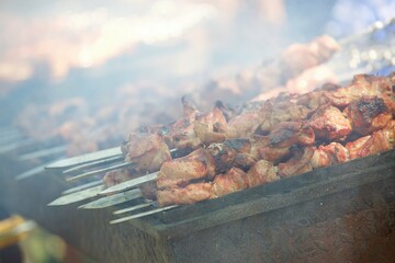 Ready-baked pork kebab on the coals of the grill.