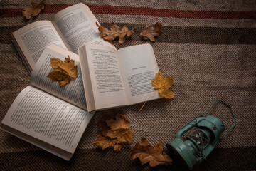 Autumn with books