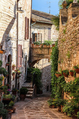 Fototapeta na wymiar Spello - Marche Italy, Italian village, Italian Town