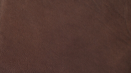 Genuine leather texture background close-up photo. Big scale.