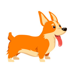 Corgi dog character waiting for dinner. Vector illustration of corgi isolated on white. Pet care, domestic animals