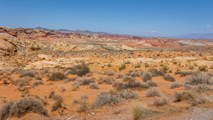 Driving and walking through the Valley of Fire State Park, formed by shifting sand dunes to red sandstone formations, also called Aztec Sandstone, Nevada, USA