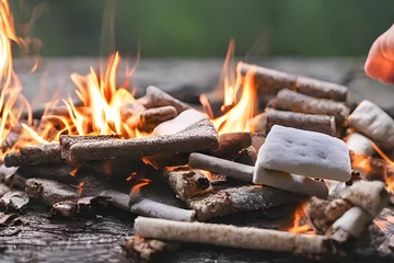 Sierkussen Hyper-realistic AI-generated image of long-exposure burning pieces of wood, and some biscuits © Omer Mendes/Wirestock Creators