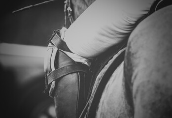 Leg Of A Mounted Polo Player