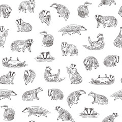 Badger forest animal vector line seamless pattern.