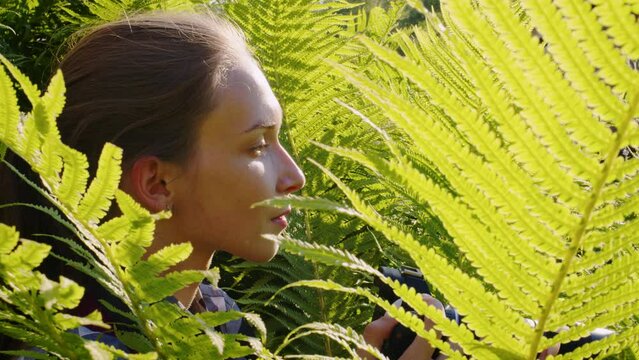 Young woman takes pictures of animals and birds on professional camera. Female photographer, hiding among fern bushes, shooting of wildlife, nature, landscape. Profile view. Paparazzi