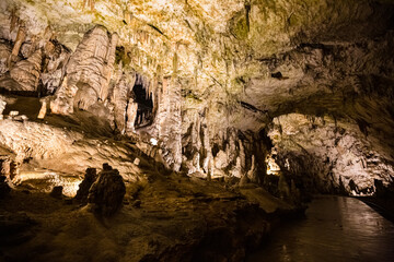 Fototapeta na wymiar Under the ground. Beautiful view of stalactites and stalagmites in an underground cavern - Postojna cave, Slovenia, Europe