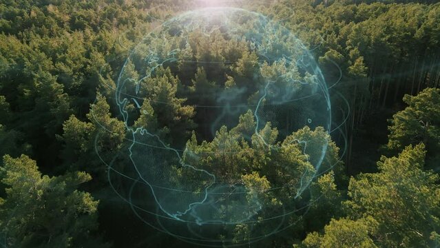 Aerial view of sunny wild forest with pine trees and 3d planet earth animation. Nature, ecosystem and environment concept.