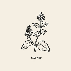 Line art catnip branch illustration - obrazy, fototapety, plakaty