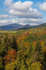 Beautiful autumn forest in the Carpathian mountains on a sunny autumn day on the Synevyr Pass ridge and blue sky background. Ukraine
