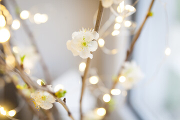 Blooming cherry branches with garland in a glass vase