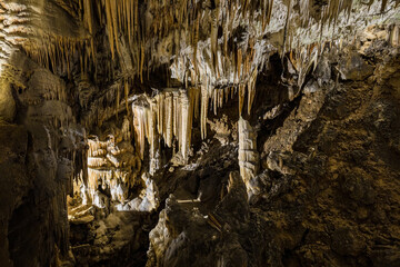 Under the ground. Beautiful view of stalactites and stalagmites in an underground cavern - Postojna cave, Slovenia, Europe