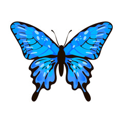 blue rare watercolor butterfly. Vector illustration of insect with pattern on wings. Cartoon silhouette with flying butterfly isolated on white