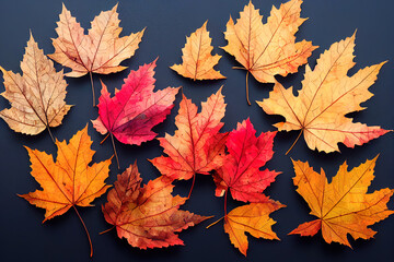 Fototapeta premium Autumnal leaves on a black background 