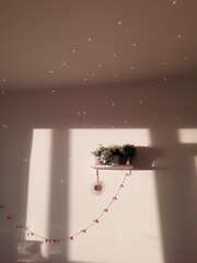shelf with green home flowers in pots on white wall cosy home interior in sunny day