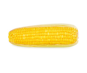 Corn isolated on transparent background (.PNG)
