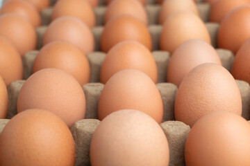 close up selective focus of fresh organic brown egg group on egg tray