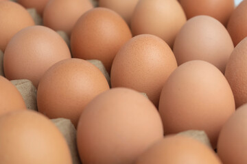 close up selective focus of fresh organic brown egg group on egg tray