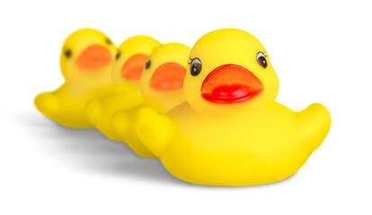 Rubber Ducks Family