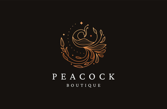 Luxurious peacock bird logo icon design template flat vector