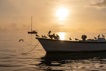 Foto op Canvas Boats over a background of a golden sunset hour at  Venezuela Los Roques © Lens Ben/Wirestock Creators