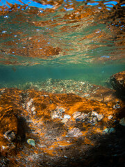 Underwater seascape view with beautiful sunlight.