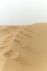 Footsteps in the desert