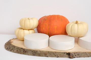 Podium for Presentation on Wooden Stand with Autumn Pumpkin Decoration on White Wall Background. Modern Geometrical Form. Cylinder Sphere. Scene to Show Product. Showcase, Display Case. Trendy. 3D