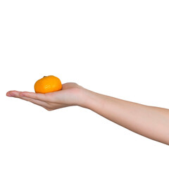 オレンジを持つ女性の手