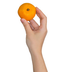 オレンジを持つ女性の手