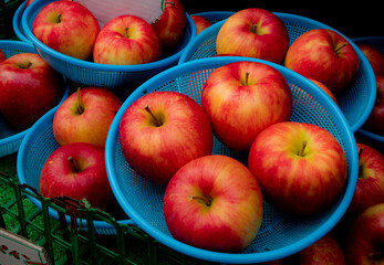 鮮やかなりんご