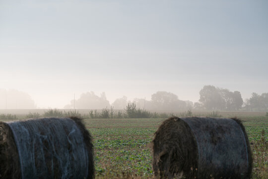 misty morning in the field