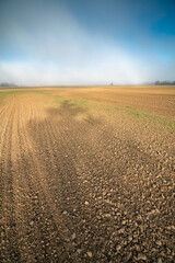 plowed tracks