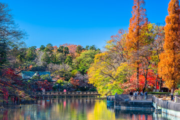 東京　井の頭公園の紅葉