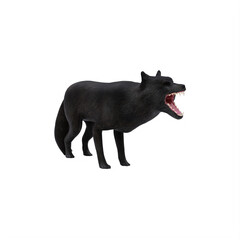 Black wolf isolated on white