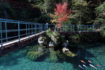 白龍湖　秋の景観　（高知県　津野町）