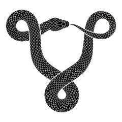 Vector tattoo design of snake bites its tail in the form of a triquetra knot sign. Isolated silhouette of triangular ouroboros symbol. - 543212258